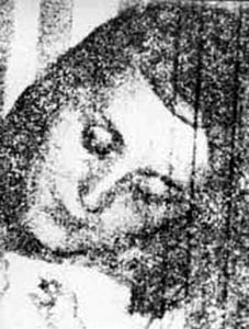 Graciela Josefa Devallis de Paulin  