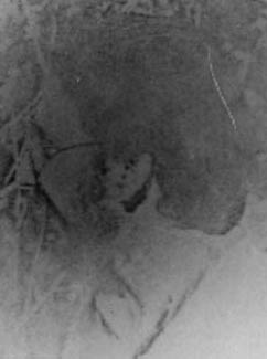 Marcelo Mario Rodr&iacute;guez