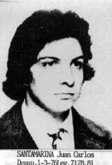  Juan Carlos Santamarina