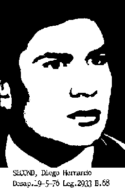 Diego Hernando Secaud Merlo